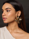 Gold Plated Brass Earrings